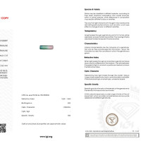 1.14 Ct. Tourmaline from Mozambique Scan Report