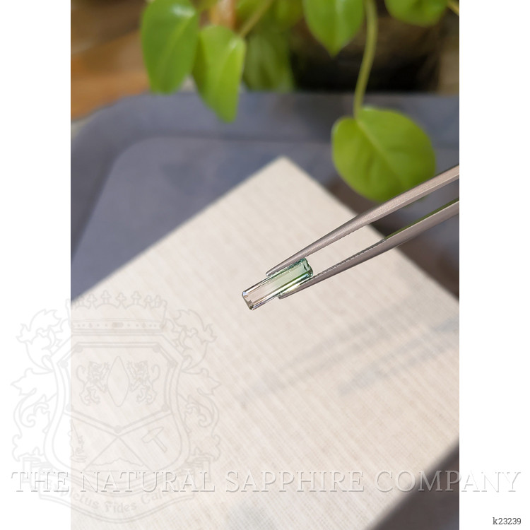 1.14 Ct. Bi Color Tourmaline from Mozambique