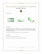 1.39 Ct. Tourmaline from Mozambique Appraisal