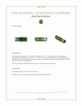 6.79 Ct. Green Tourmaline from Mozambique Appraisal