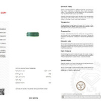 6.79 Ct. Tourmaline from Mozambique Scan Report