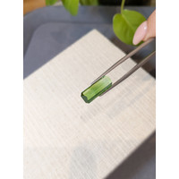 6.79 Ct. Green Tourmaline from Mozambique Life Style
