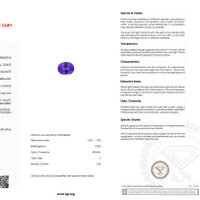 3.20 Ct. Tanzanite from Tanzania Scan Report