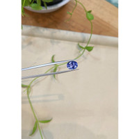 3.20 Ct. Violet Tanzanite from Tanzania Life Style