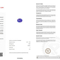 2.82 Ct. Tanzanite from Tanzania Scan Report