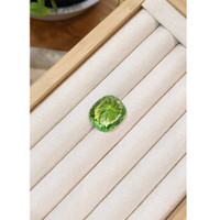 24.22 Ct. Green Peridot from Pakistan Life Style