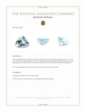 0.88 Ct. Blue Aquamarine from Madagascar Appraisal