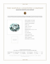 Jewelry Scan Report