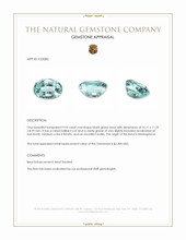 9.93 Ct. Beryl from Madagascar Appraisal