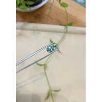 4.70 Ct. Greenish Blue Aquamarine from Madagascar Life Style