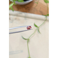 0.65 Ct. Pink Tourmaline from Mozambique Life Style