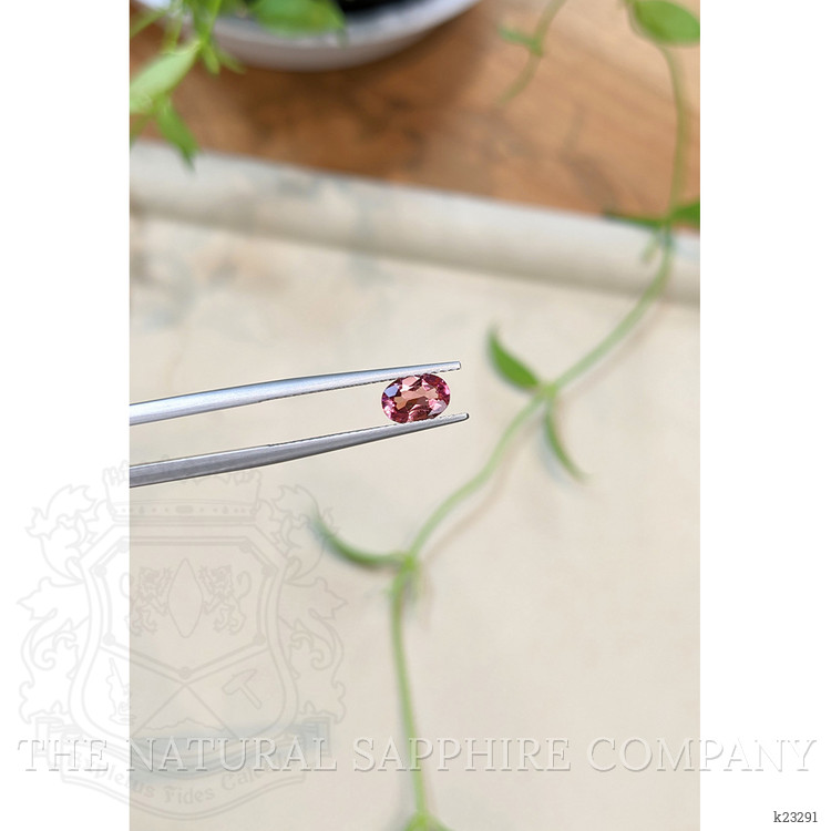 0.65 Ct. Pink Tourmaline from Mozambique
