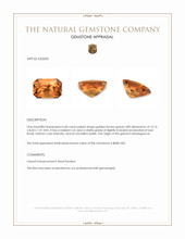 6.68 Ct. Golden Brown Garnet from Madagascar Appraisal