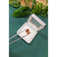 6.68 Ct. Golden Brown Garnet from Madagascar Life Style