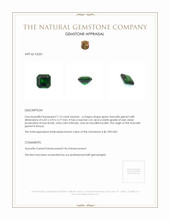 1.15 Ct. Tsavorite Garnet from Kenya Appraisal