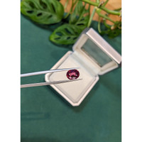 2.74 Ct. Purplish Red Garnet from Madagascar Life Style