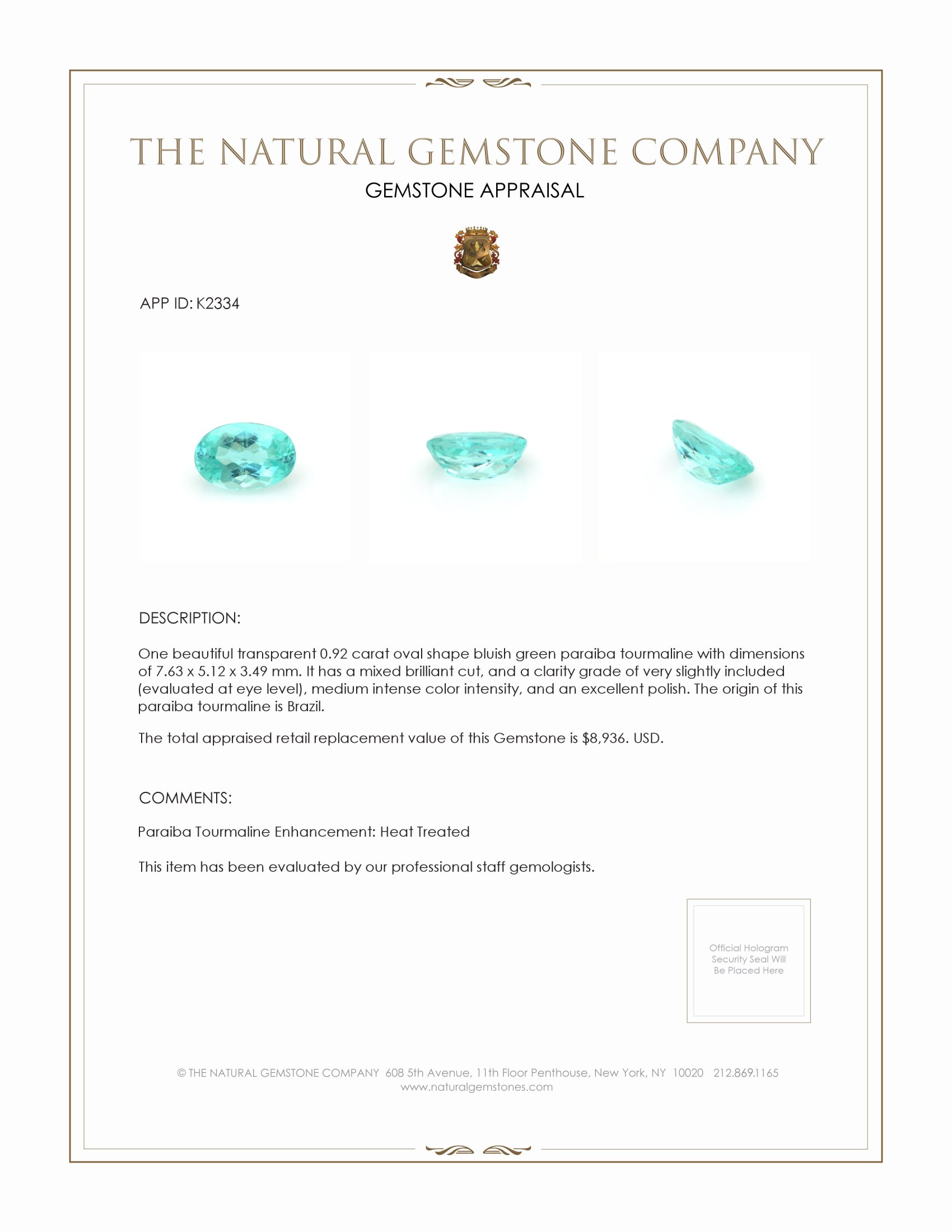 0.92 Ct. Paraiba Tourmaline from Brazil