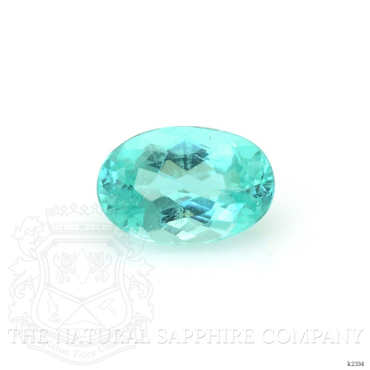0.92 Ct. Paraiba Tourmaline from Brazil