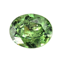 2.74 Ct. Demantoid Garnet from Madagascar Video