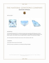 0.97 Ct. Blue Aquamarine from Nigeria Appraisal