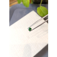 0.58 Ct. Tsavorite Garnet from Tanzania Life Style