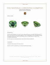 1.42 Ct. Bluish Green Tourmaline from Mozambique Appraisal