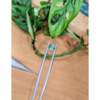 0.81 Ct. Green Grandidierite from Madagascar Life Style