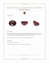 3.38 Ct. Red Garnet from Ceylon (Sri Lanka) Appraisal