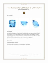 5.73 Ct. Swiss Blue Topaz from Ceylon (Sri Lanka) Appraisal
