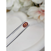 0.69 Ct. Garnet from Ceylon (Sri Lanka) Life Style
