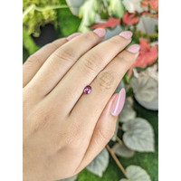 0.44 Ct. Purplish Pink Rhodolite Garnet from Ceylon (Sri Lanka) Life Style