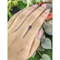 0.76 Ct. Garnet from Ceylon (Sri Lanka) Life Style