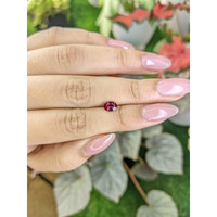 0.76 Ct. Garnet from Ceylon (Sri Lanka) Life Style