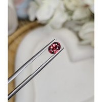 0.74 Ct. Garnet from Ceylon (Sri Lanka) Life Style