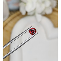 0.79 Ct. Garnet from Ceylon (Sri Lanka) Life Style