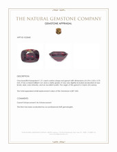 1.21 Ct. Red Garnet from Ceylon (Sri Lanka) Appraisal