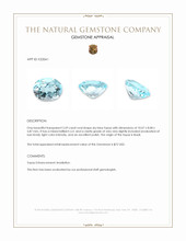 3.59 Ct. Sky Blue Topaz from Brazil Appraisal
