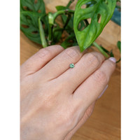 0.22 Ct. Alexandrite from Tanzania Life Style
