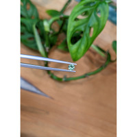 0.22 Ct. Alexandrite from Tanzania Life Style