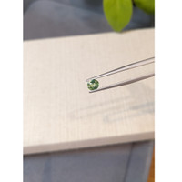 0.56 Ct. Alexandrite from Tanzania Life Style