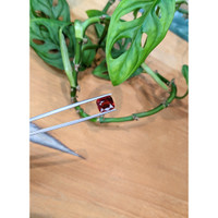 4.68 Ct. Red Garnet from Madagascar Life Style