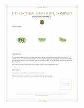 1.18 Ct. Demantoid Garnet from Madagascar Appraisal