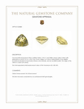 195.31 Ct. Yellow Citrine from Ceylon (Sri Lanka) Appraisal