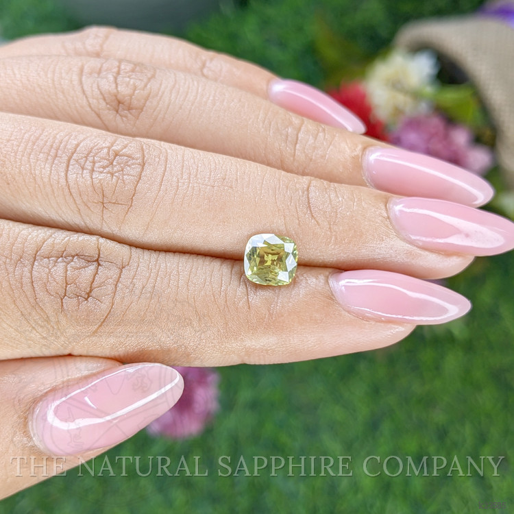 1.43 Ct. Yellowish Green Chrysoberyl from Ceylon (Sri Lanka)