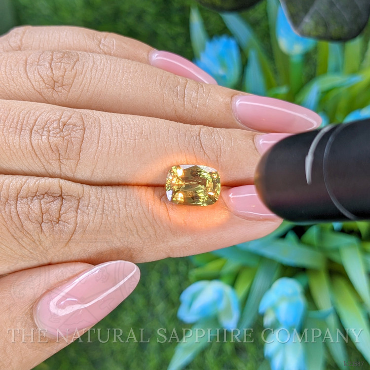 2.83 Ct. Alexandrite from Ceylon (Sri Lanka)
