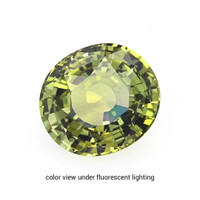 2.50 Ct. Alexandrite from Ceylon (Sri Lanka) Video