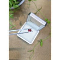 0.65 Ct. Red Spinel from Burma (Myanmar) Life Style