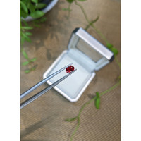 0.61 Ct. Pinkish Red Spinel from Burma (Myanmar) Life Style