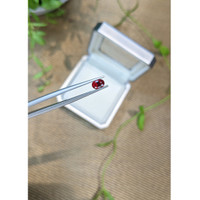 0.55 Ct. Red Spinel from Burma (Myanmar) Life Style
