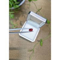 0.65 Ct. Purplish Red Spinel from Burma (Myanmar) Life Style